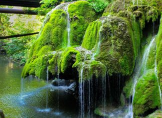 Fermecatoarea Cascada Bigar cascada bigar
