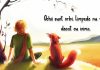 Citate frumoase – Cele mai frumoase citate de dragoste si despre prietenie citate frumoase 1