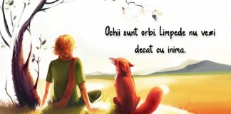 Citate frumoase – Cele mai frumoase citate de dragoste si despre prietenie citate frumoase 1