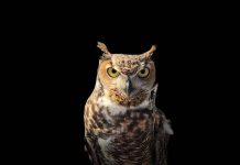 Citate intelepte – O colectie cu citate intelepte despre viata si oameni citate intelepte