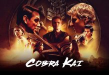 Cobra Kai: Recapitularea sezoanelor 1-5 si evolutia personajelor cobra kai