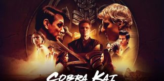 Cobra Kai: Recapitularea sezoanelor 1-5 si evolutia personajelor cobra kai