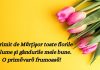 Mesaje de 1 martie – Cele mai frumoase mesaje de Martisor mesaje de 1 martie