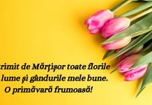Mesaje de 1 martie – Cele mai frumoase mesaje de Martisor mesaje de 1 martie