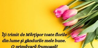 Mesaje de 1 martie – Cele mai frumoase mesaje de Martisor mesaje de 1 martie