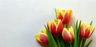 Cele mai frumoase mesaje de multumire si de apreciere prin care poti sa spui ”Multumesc” mesaje de multumire