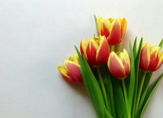 Cele mai frumoase mesaje de multumire si de apreciere prin care poti sa spui ”Multumesc” mesaje de multumire