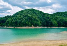 Valea Doftanei – O escapada in natura departe de agitatia din orase valea doftanei