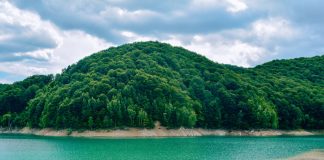 Valea Doftanei – O escapada in natura departe de agitatia din orase valea doftanei