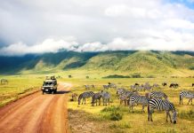 Africa – Exploreaza bogatia si diversitatea marelui continent africa