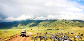 Africa – Exploreaza bogatia si diversitatea marelui continent africa