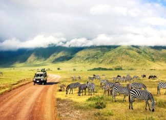Africa – Exploreaza bogatia si diversitatea marelui continent africa