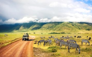 Africa – Exploreaza bogatia si diversitatea marelui continent africa