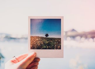 Cum sa faci ca pozele sa vorbeasca – importanta descrierilor pentru poze descrieri poze